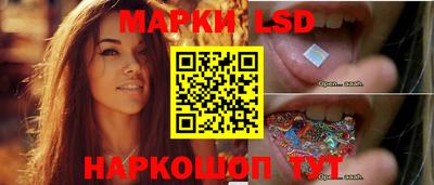 крисы Моздок