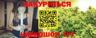 крисы Моздок