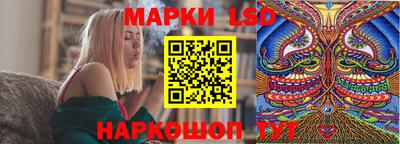 крисы Моздок