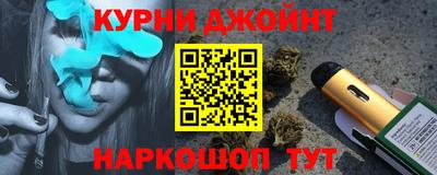 крисы Моздок