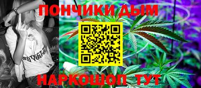 крисы Моздок