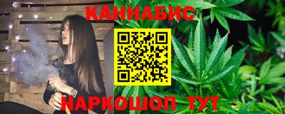 крисы Моздок