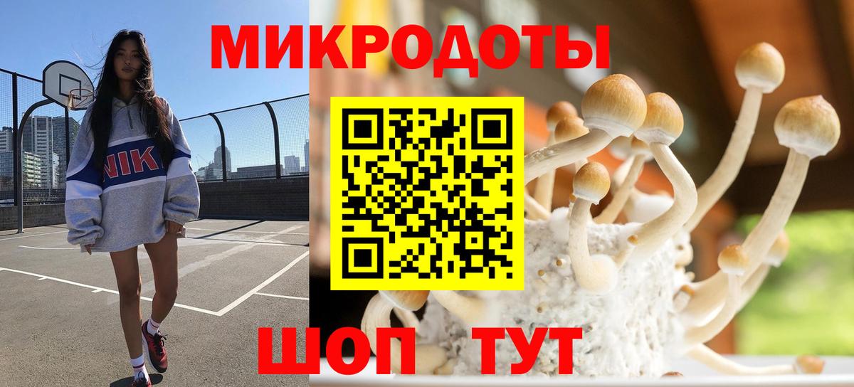Галлюциногенные грибы мухоморы Сорочинск